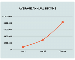 average annual income-2